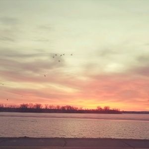 Meet your Posher, Chelsea